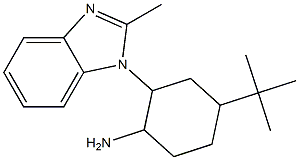 4-tert-butyl-2-(2-methyl-1H-1,3-benzodiazol-1-yl)cyclohexan-1-amine 化学構造式
