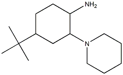 4-tert-butyl-2-(piperidin-1-yl)cyclohexan-1-amine