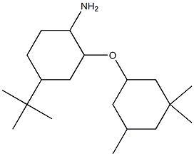 4-tert-butyl-2-[(3,3,5-trimethylcyclohexyl)oxy]cyclohexan-1-amine Structure