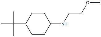 4-tert-butyl-N-(2-methoxyethyl)cyclohexan-1-amine Structure