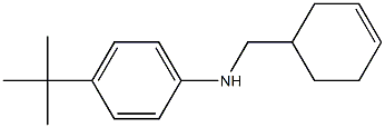 4-tert-butyl-N-(cyclohex-3-en-1-ylmethyl)aniline Struktur