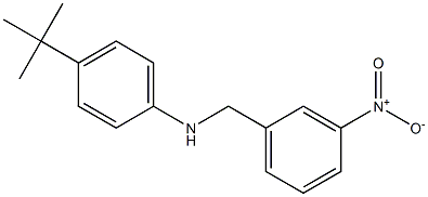 4-tert-butyl-N-[(3-nitrophenyl)methyl]aniline