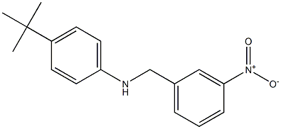  4-tert-butyl-N-[(3-nitrophenyl)methyl]aniline