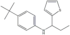 4-tert-butyl-N-[1-(thiophen-2-yl)propyl]aniline