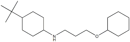 4-tert-butyl-N-[3-(cyclohexyloxy)propyl]cyclohexan-1-amine Structure