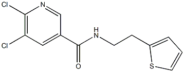  5,6-dichloro-N-[2-(thiophen-2-yl)ethyl]pyridine-3-carboxamide