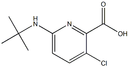 6-(tert-butylamino)-3-chloropyridine-2-carboxylic acid Structure