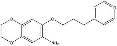 7-[3-(pyridin-4-yl)propoxy]-2,3-dihydro-1,4-benzodioxin-6-amine,,结构式