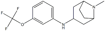  8-methyl-N-[3-(trifluoromethoxy)phenyl]-8-azabicyclo[3.2.1]octan-3-amine