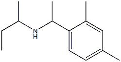 butan-2-yl[1-(2,4-dimethylphenyl)ethyl]amine,,结构式