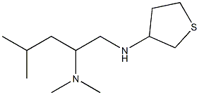  dimethyl[4-methyl-1-(thiolan-3-ylamino)pentan-2-yl]amine