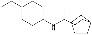  N-(1-{bicyclo[2.2.1]heptan-2-yl}ethyl)-4-ethylcyclohexan-1-amine
