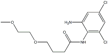 N-(2-amino-4,6-dichlorophenyl)-4-(2-methoxyethoxy)butanamide