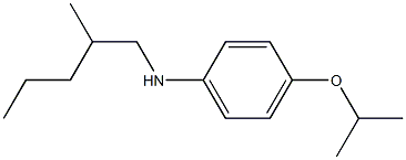 N-(2-methylpentyl)-4-(propan-2-yloxy)aniline,,结构式