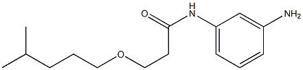 N-(3-aminophenyl)-3-[(4-methylpentyl)oxy]propanamide Struktur