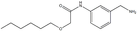 N-[3-(aminomethyl)phenyl]-2-(hexyloxy)acetamide Struktur