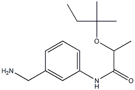 N-[3-(aminomethyl)phenyl]-2-[(2-methylbutan-2-yl)oxy]propanamide Structure