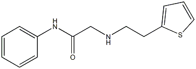  N-phenyl-2-{[2-(thiophen-2-yl)ethyl]amino}acetamide