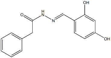 N'-(2,4-dihydroxybenzylidene)-2-phenylacetohydrazide