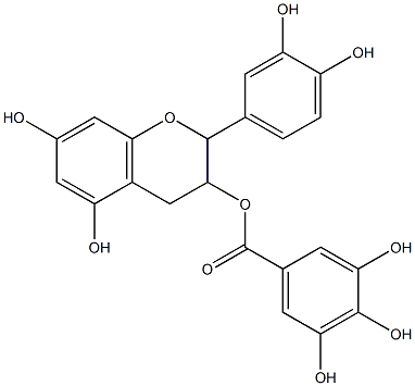 Catechin  gallate  solution Structure