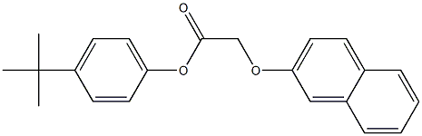4-(tert-butyl)phenyl 2-(2-naphthyloxy)acetate Structure