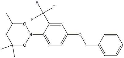 2-[4-Benzyloxy-2-(trifluoromethyl)phenyl]-4,4,6-trimethyl-1,3,2-dioxaborinane Struktur