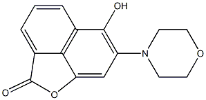 7-Morpholino-6-hydroxy-2H-naphtho[1,8-bc]furan-2-one Structure