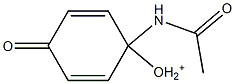 [1-(Acetylamino)-4-oxo-2,5-cyclohexadienyl]oxonium Structure