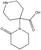 2-Oxo-1,4'-bipiperidine-4'-carboxylic acid