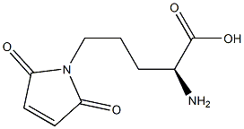 (2S)-2-Amino-5-(2,5-dioxo-3-pyrrolin-1-yl)pentanoic acid Struktur