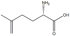 (S)-2-Amino-5-methyl-5-hexenoic acid Struktur