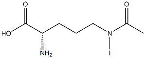 (2S)-2-Amino-5-(iodoacetylamino)pentanoic acid Struktur