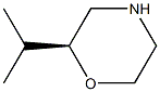 (S)-2-isopropylmorpholine Structure