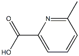  2-甲基吡啶-6-甲酸