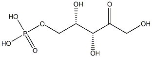 L-Xylulose 5-phosphate Struktur