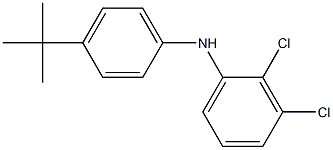 N-(4-(tert-butyl)phenyl)-2,3-dichloroaniline Structure