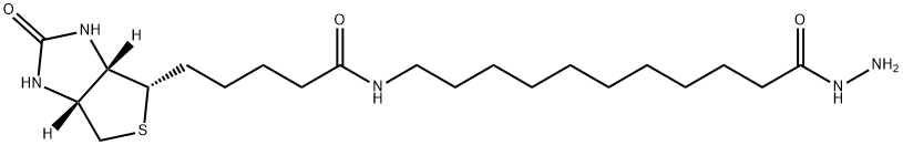 Biotin-SLC-Hydrazide,1197298-55-7,结构式