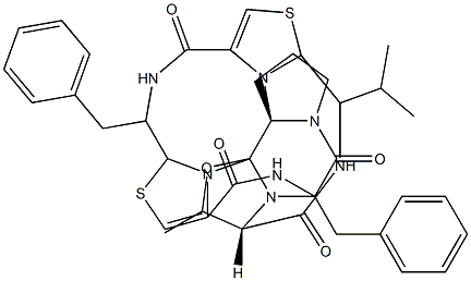 lissoclinamide 8 结构式