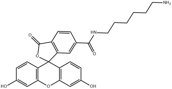 Spiro[isobenzofuran-1(3H),9'-[9H]xanthene]-6-carboxamide, N-(6-aminohexyl)-3',6'-dihydroxy-3-oxo- Struktur