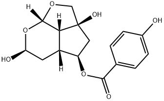 catalpin Struktur
