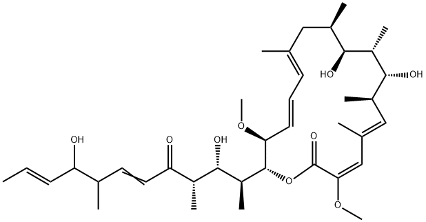 concanamycin G Struktur