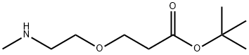 甲基氨-一聚乙二醇-丙酸叔丁酯 结构式
