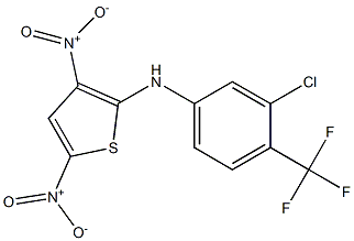 ANT 2p Struktur