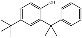 Phenol, 4-(1,1-dimethylethyl)-2-(1-methyl-1-phenylethyl)- Struktur