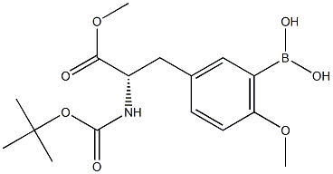 BOC--L-酪氨酸(3-二羟硼基,甲醚)甲酯, 606139-97-3, 结构式