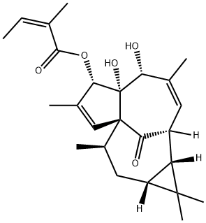 20-Deoxyingenol 3-angelate 化学構造式