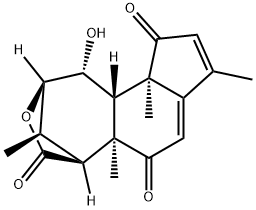 Laurycolactone B Structure