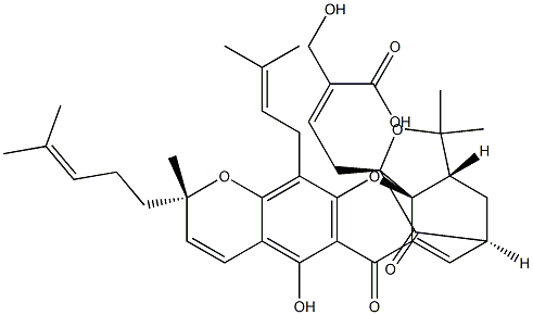30-羟基藤黄酸,881027-36-7,结构式