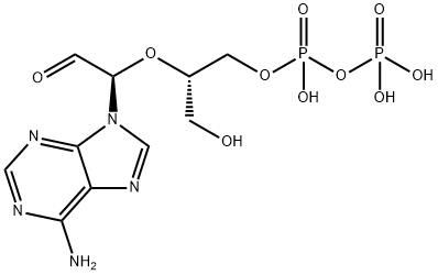 2'-(6-aminopurinyl-9)-4'-hydroxymethyl-3'-oxa-1'-oxopentyl-5'-diphosphate Struktur