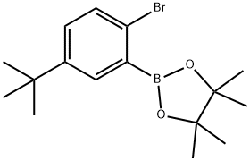 2-溴-5-叔丁基苯硼酸酯 结构式